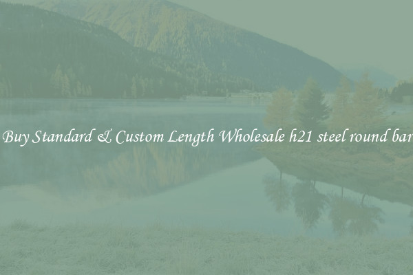 Buy Standard & Custom Length Wholesale h21 steel round bar