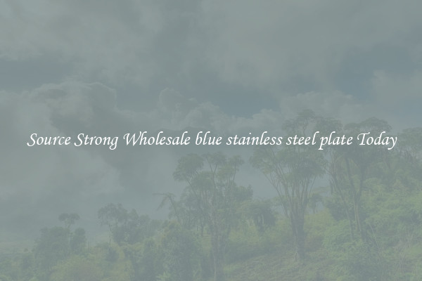 Source Strong Wholesale blue stainless steel plate Today