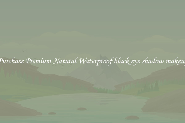 Purchase Premium Natural Waterproof black eye shadow makeup