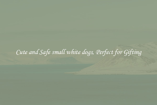 Cute and Safe small white dogs, Perfect for Gifting