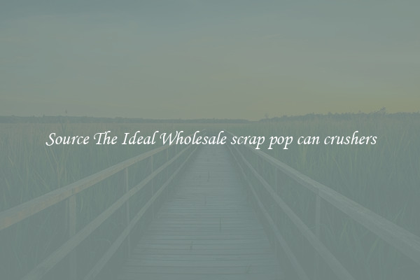 Source The Ideal Wholesale scrap pop can crushers