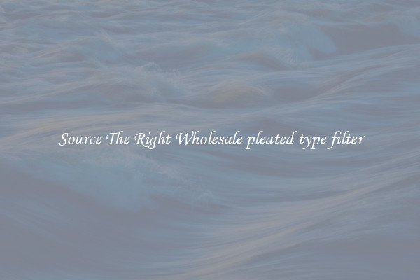 Source The Right Wholesale pleated type filter