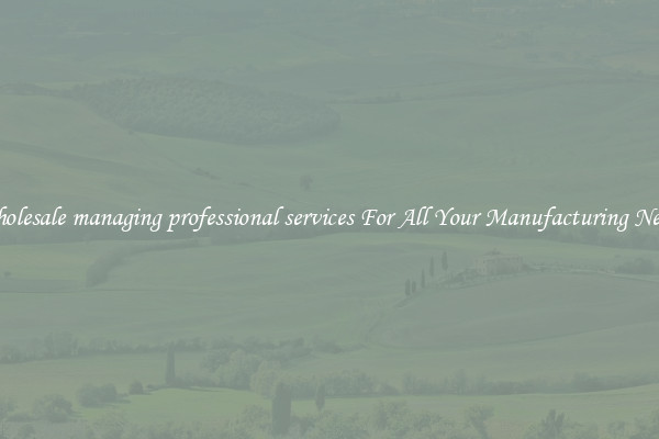 Wholesale managing professional services For All Your Manufacturing Needs