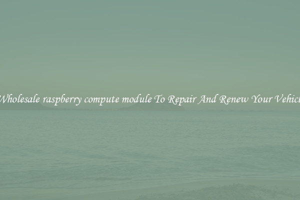 Wholesale raspberry compute module To Repair And Renew Your Vehicle