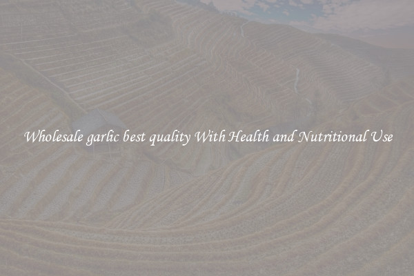 Wholesale garlic best quality With Health and Nutritional Use