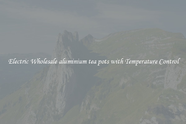 Electric Wholesale aluminium tea pots with Temperature Control