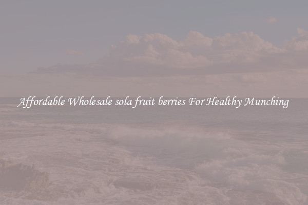Affordable Wholesale sola fruit berries For Healthy Munching 
