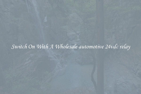 Switch On With A Wholesale automotive 24vdc relay