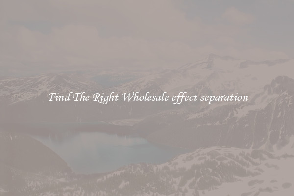 Find The Right Wholesale effect separation