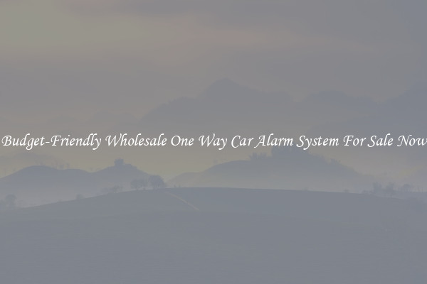 Budget-Friendly Wholesale One Way Car Alarm System For Sale Now