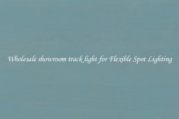 Wholesale showroom track light for Flexible Spot Lighting