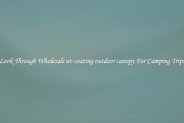 Look Through Wholesale uv coating outdoor canopy For Camping Trips