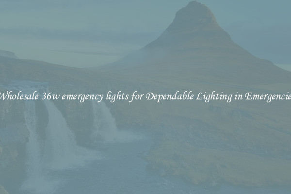Wholesale 36w emergency lights for Dependable Lighting in Emergencies